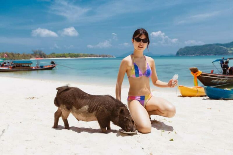 Koh Samui: Pig Island Private Longtail Boat Tour - Authentic Experiences and Reviews
