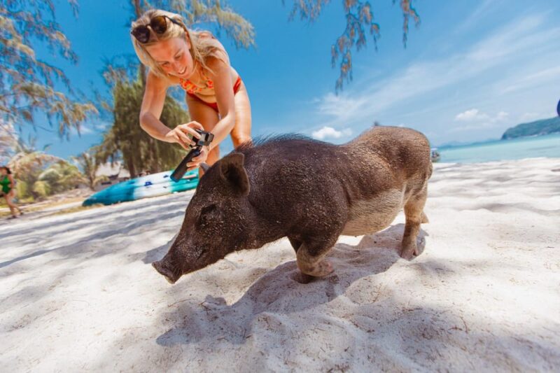 Koh Samui: Pig Island Private Longtail Boat Tour - Visiting Koh Madsum