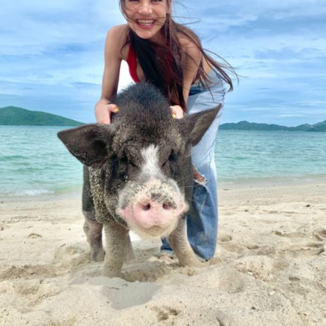 Koh Samui: Pig Island Tour by Speedboat With Snorkeling - Important Considerations