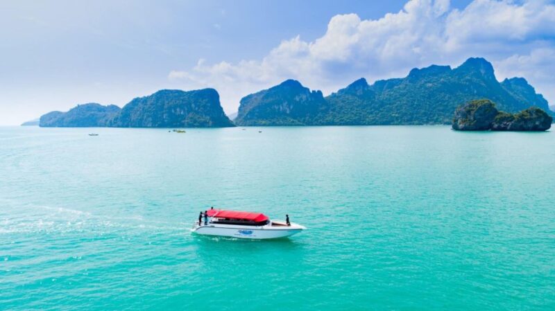 Koh Samui: Pink Dolphin Spotting & Pig Island Speedboat Tour - Key Points