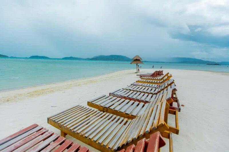 Koh Samui: Pink Dolphin Spotting & Pig Island Speedboat Tour - An Introduction to the Experience