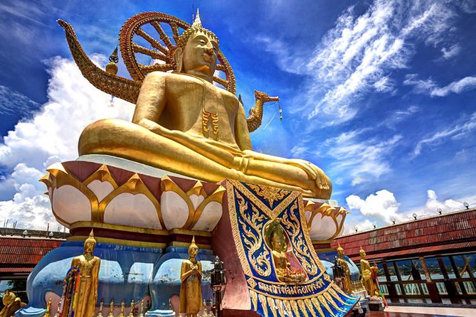 Koh Samui Private Customized Tour With Driver - Included Services