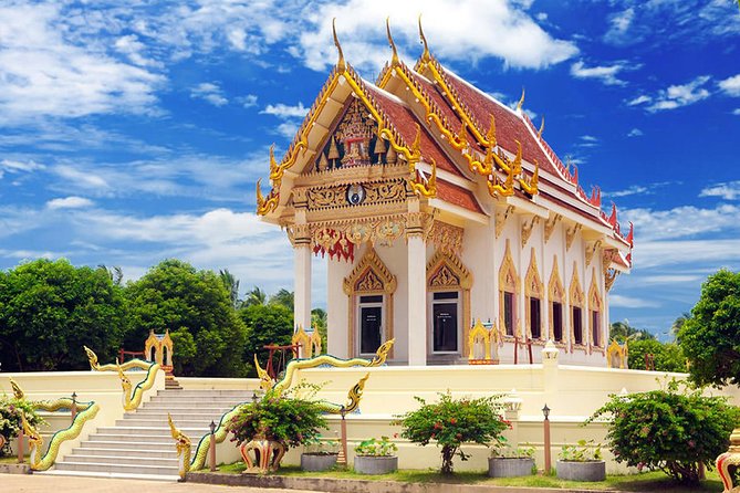 Koh Samui Private Customized Tour With Driver - Customization Options