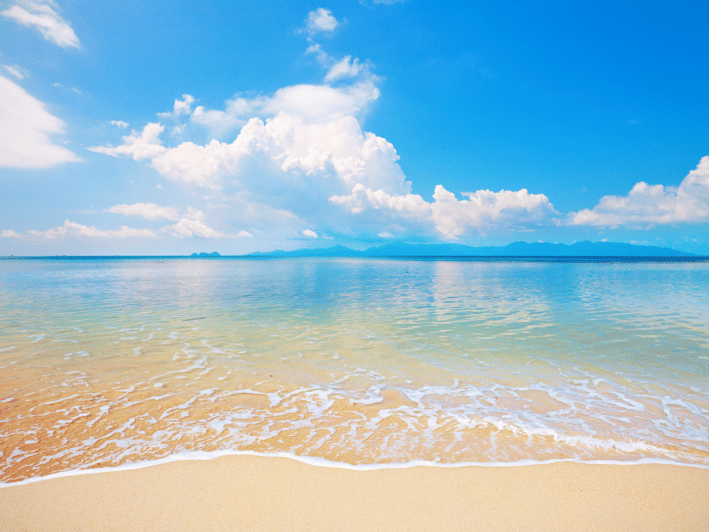 Koh Samui: Private Half-day Taxi Tour in the North - Included in the Tour