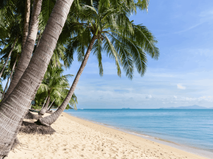 Koh Samui: Private Half-day Taxi Tour in the North - Hotel Pickup and Drop-off