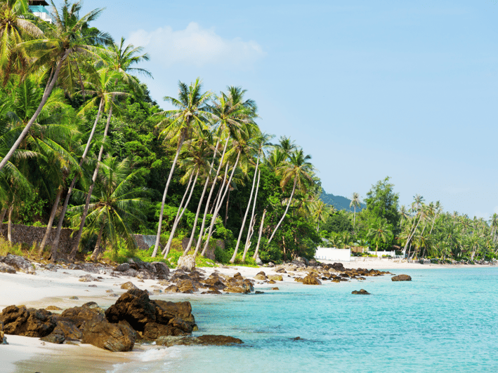 Koh Samui: Private Half-day Taxi Tour in the South - Included Experiences