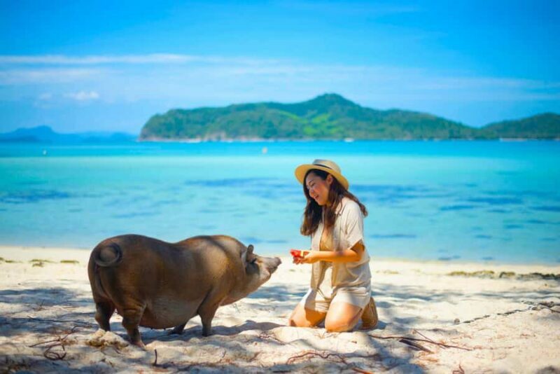 Koh Samui: Private Longtail Boat to Pig Island with Snorkel - A Practical Look at the Koh Samui: Private Longtail Boat to Pig Island with Snorkel
