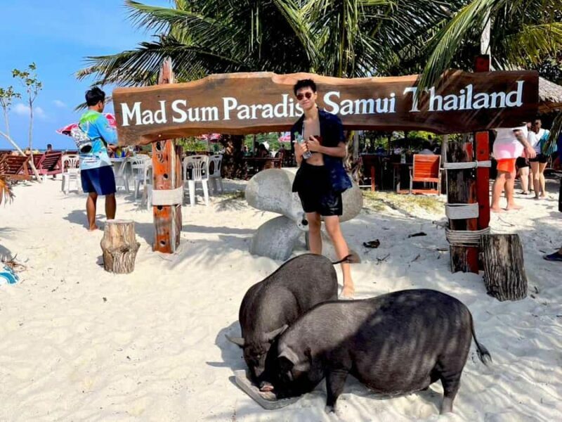 Koh Samui: Private Longtail Boat to Pig Island with Snorkel - FAQ