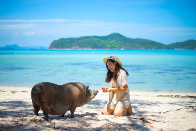 Koh Samui: Private Longtail Tour to Koh Mat Sum (Pig Island) - Cancellation Policy