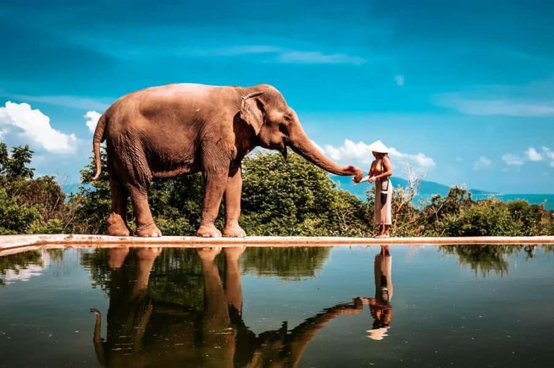 Koh Samui: Private Photoshoot for Couples & Families - An In-Depth Look at the Koh Samui Photoshoot