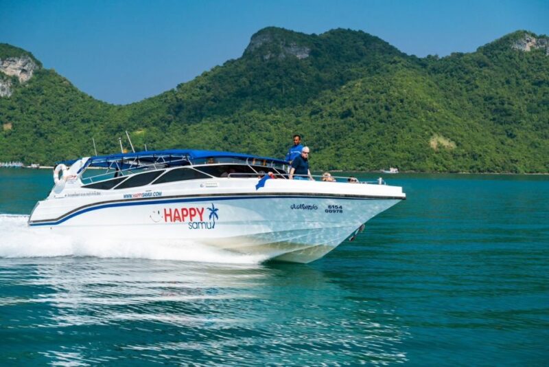 Koh Samui: Private Speedboat to Pig Island With Snorkeling - Key Points