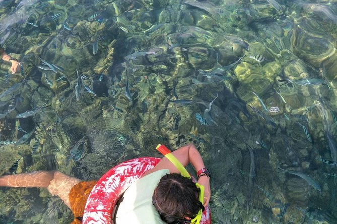Koh Samui Snorkeling and Kayaking - Age and Accessibility Requirements