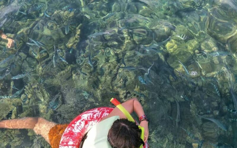 Koh Samui: Snorkeling and Kayaking by Speedboat - Who This Tour Is Best For
