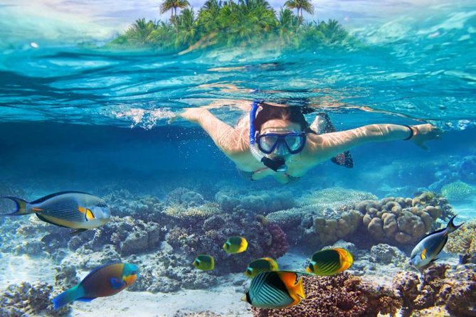Koh Samui Snorkeling and Kayaking - Age and Accessibility Requirements