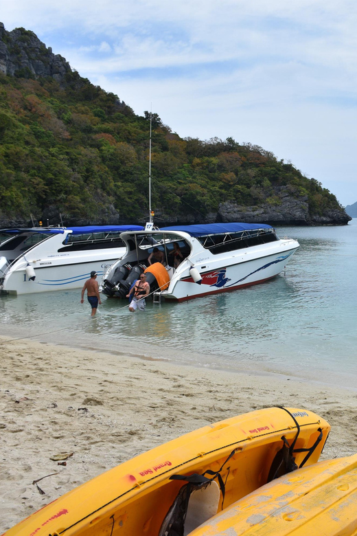 Koh Samui: Speedboat Adventure to Angthongs Hidden Gems - Snorkeling and Swimming in Turquoise Waters