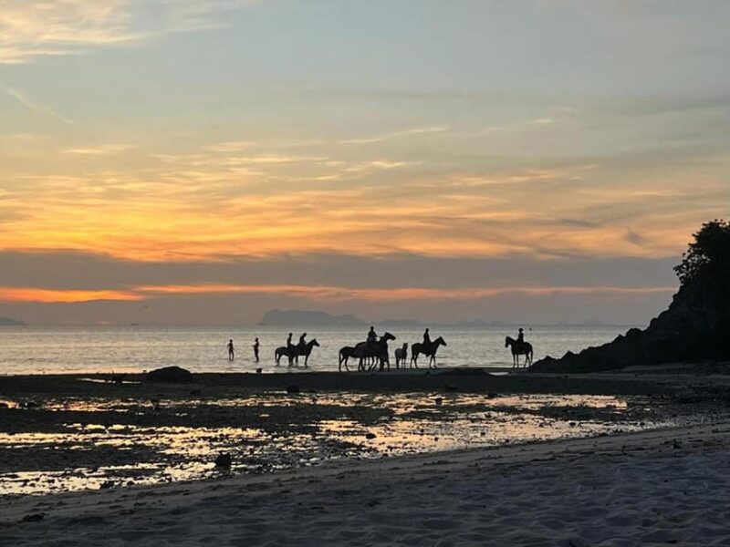 Koh Samui: Sunset Trail Horse Riding on The Beach - Whats Included