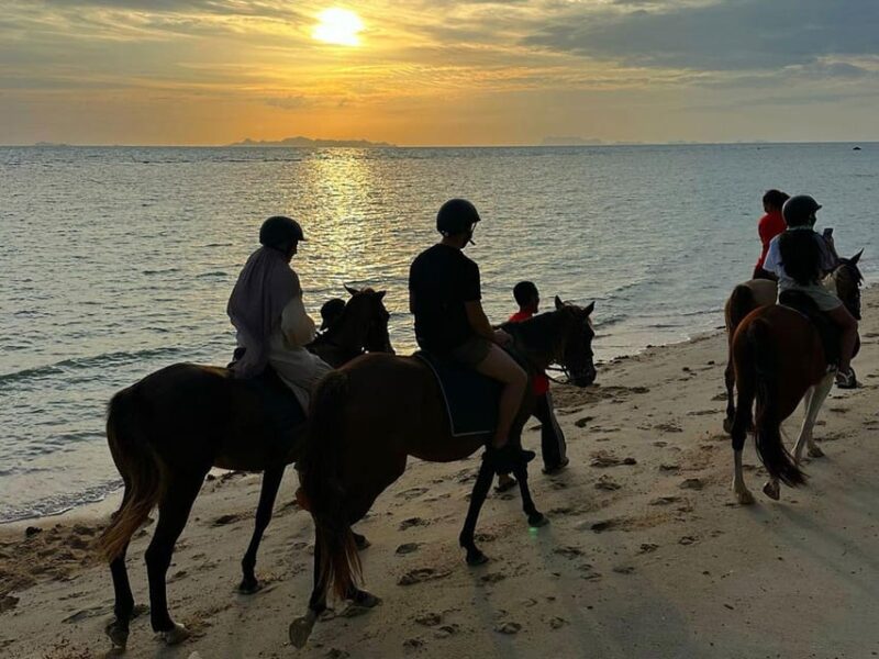 Koh Samui: Sunset Trail Horse Riding on The Beach - Restrictions and Requirements