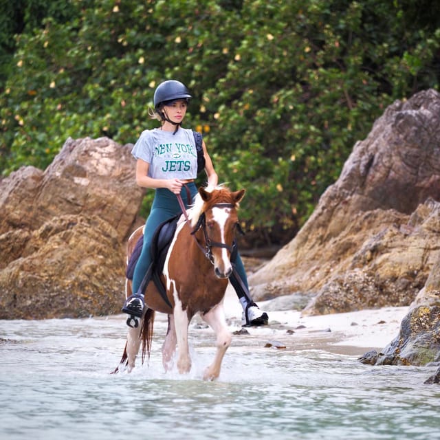 Koh Samui: Sunset Trail Horse Riding on The Beach - Connecting With the Horses