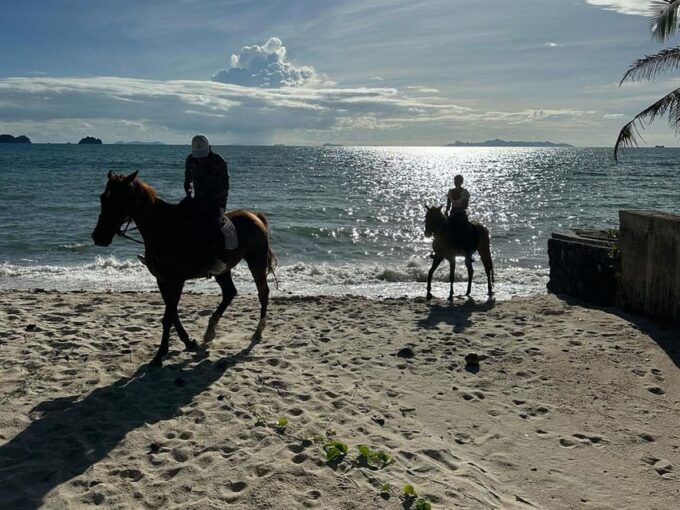 Koh Samui: Sunset Trail Horse Riding on The Beach - Frequently Asked Questions