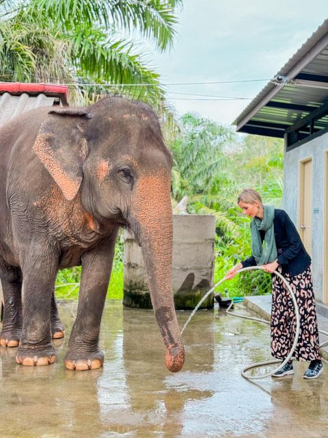 Koh Samui: Unique Iocal Tour & Elephant Sanctuary With Lunch - Key Points
