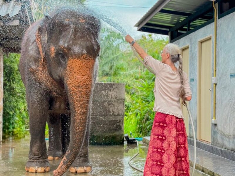 Koh Samui: Unique Iocal Tour & Elephant Sanctuary With Lunch - Itinerary Details