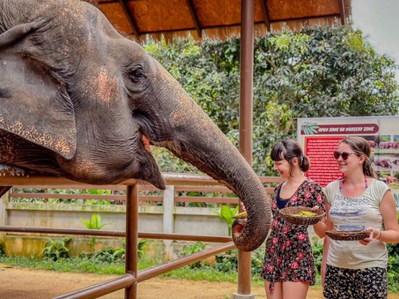 Koh Samui: Unique Iocal Tour & Elephant Sanctuary With Lunch - Included Activities