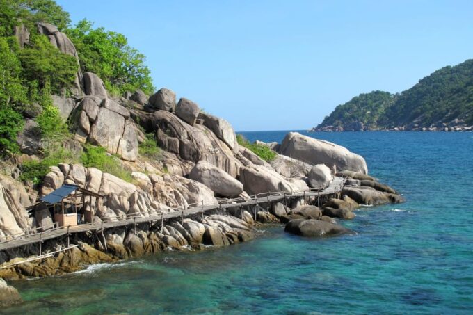 Koh Samui: Unveiling the Magic of Koh Nangyuan & Koh Tao - Snorkeling at Japanese Garden Reef