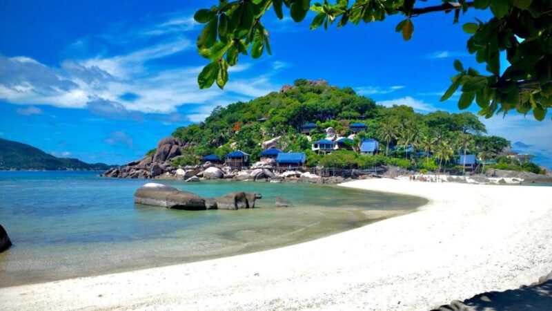 Koh Samui : VIP Koh Tao & Koh Nang Yuan Small-Group Tour - Important Details