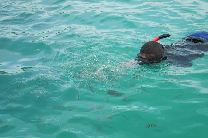 Koh Tan and Koh Madsum Snorkeling Trip By Speedboat From Koh Samui - Pickup Details and Schedule