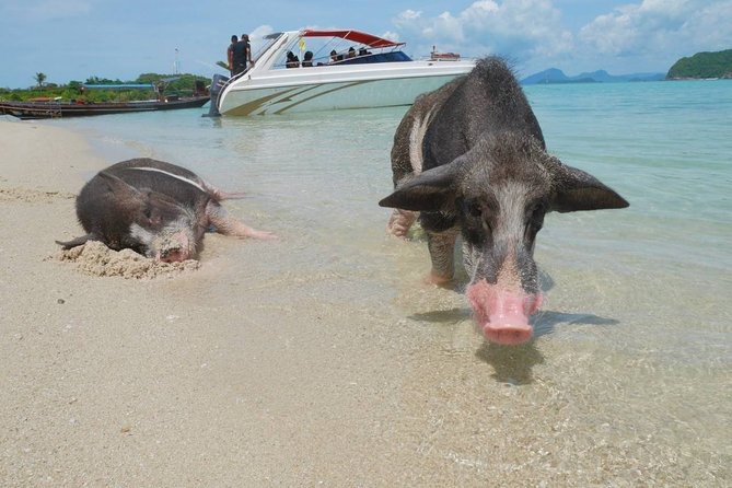 Koh Tan and Koh Madsum Snorkeling Trip By Speedboat From Koh Samui - Snorkeling at Koh Tan