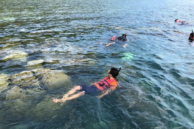 Koh Tan and Koh Madsum Sunset Trip By Speedboat From Koh Samui - Boat Conditions and Safety Precautions