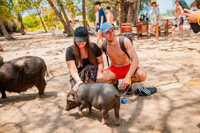 Koh Tan and Pig Island Half-Day Tour by Speed Catamaran - Key Points