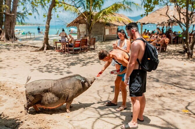 Koh Tan and Pig Island Half-Day Tour by Speed Catamaran - What to Expect on This Tour