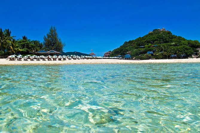 Koh Tao and Koh Nang Yuan Snorkel Tour (Speedboat From Koh Samui) - Reviews