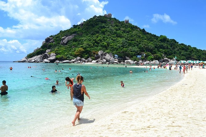 Koh Tao and Koh Nang Yuan Snorkeling Trip By Speedboat From Koh Samui - Inclusions and Costs