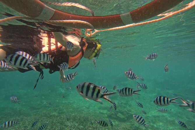 Koh Tao and Koh Nang Yuan Speedboat Tour From Koh Phangan - Health and Safety Guidelines
