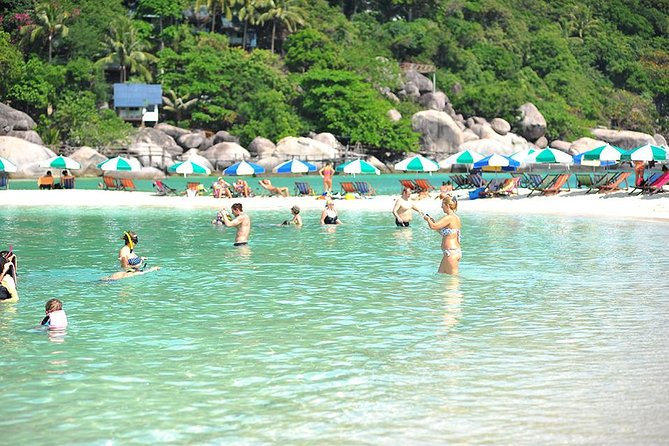 Koh Tao and Koh Nang Yuan Speedboat Tour From Koh Samui - Snorkeling at Ao Muong