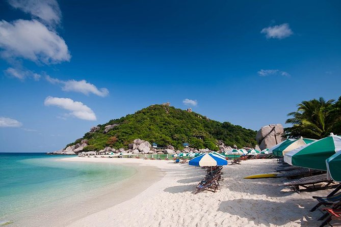 Koh Tao and Koh Nang Yuan Speedboat Tour From Koh Samui - Tour Operator Information