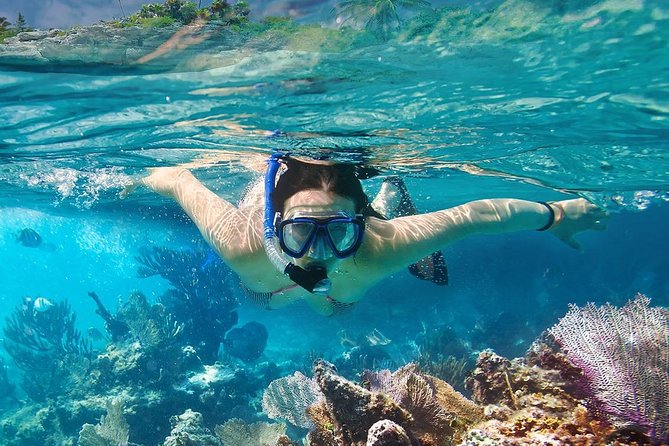 Koh Tao and Koh Nangyuan Snorkeling Tour by Speedboat From Ko Samui - Highlights of Koh Nang Yuan