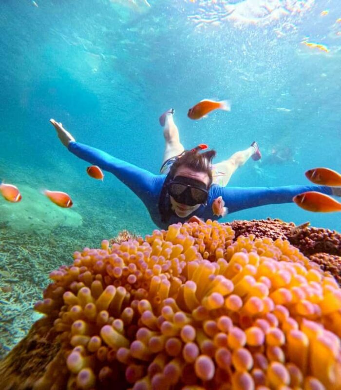 Koh Tao: Half-Day Sunset Snorkeling Tour with Lunch & Pickup - What Makes This Tour Stand Out?