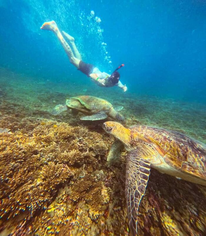 Koh Tao: Half-Day Sunset Snorkeling Tour with Lunch & Pickup - Who Should Consider This Tour?