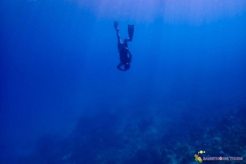 Koh Tao: Islands Snorkeling Highlights Day Tour & Lunch - Itinerary Highlights