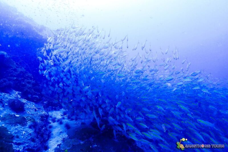 Koh Tao: Islands Snorkeling Highlights Day Tour & Lunch - Snorkeling and Beach Activities
