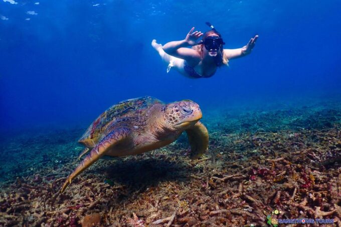 Koh Tao: Islands Snorkeling Highlights Day Tour & Lunch - Mango Bay and Ao Hin Wong