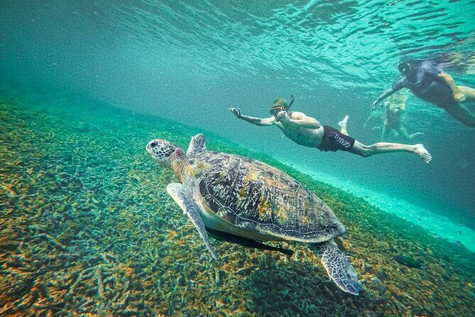 Koh Tao, Koh Nangyuan and Hidden Bays Snorkeling with Lunch - Key Points
