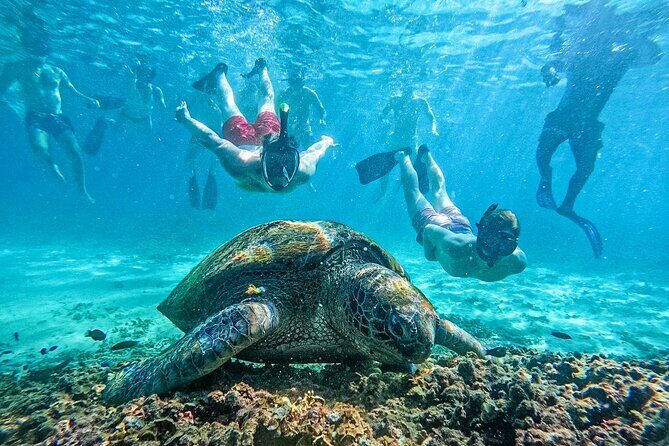 Koh Tao, Koh Nangyuan and Hidden Bays Snorkeling with Lunch - Why This Tour Works for Travelers