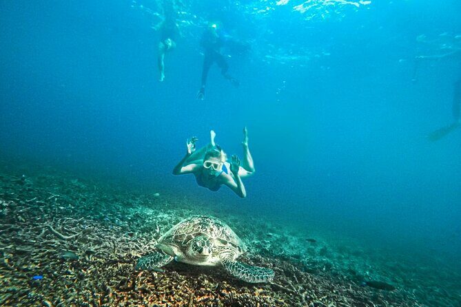 Koh Tao, Koh Nangyuan and Hidden Bays Snorkeling with Lunch - Final Thoughts