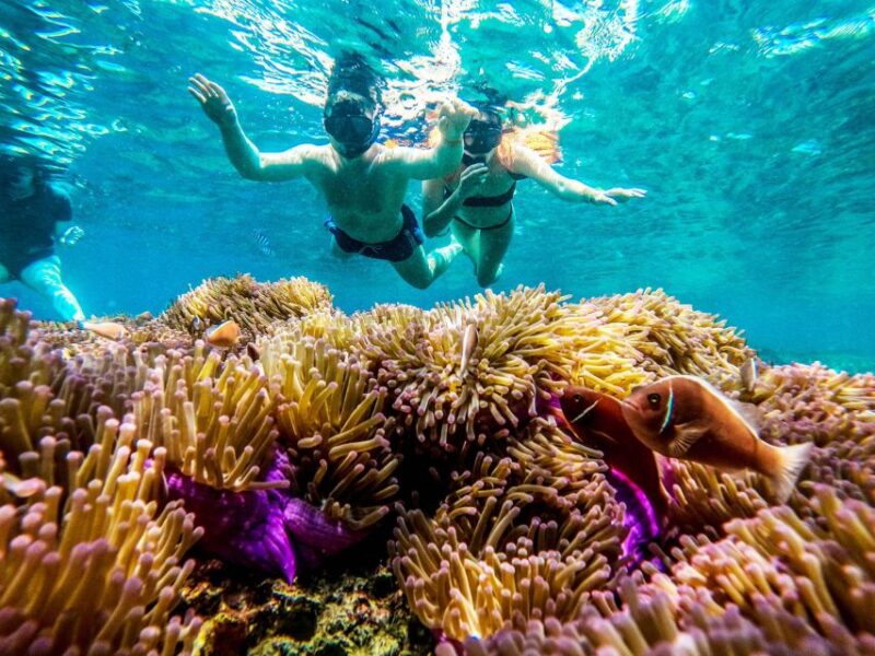 Koh Tao: Koh Nangyuan and the Hidden Bays Trip by the Oxygen - Customer Feedback