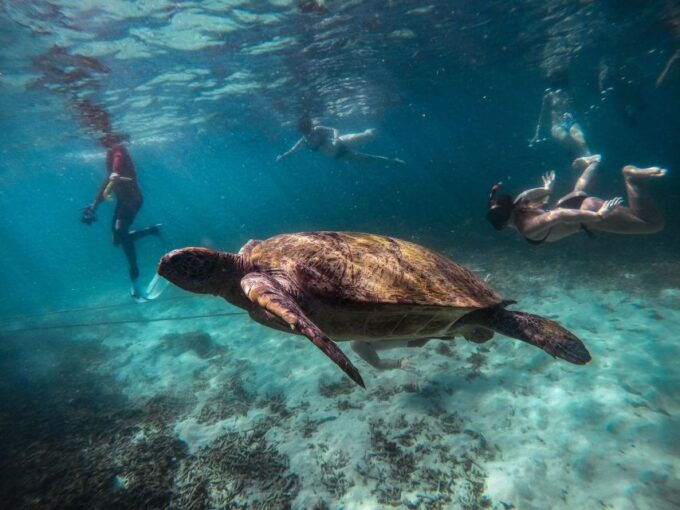 Koh Tao: Koh Nangyuan and the Hidden Bays Trip by the Oxygen - Frequently Asked Questions