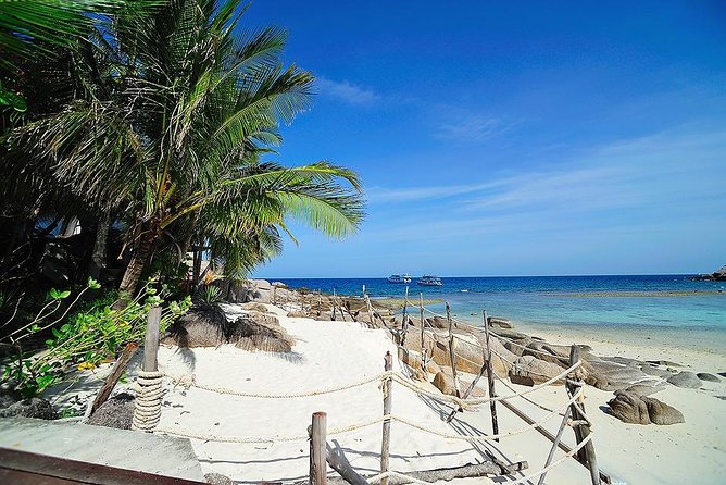 Koh Tao & Koh Nangyuan by Speed Boat (Snorkeling Trip From Koh Samui) - Lunch and Refreshments